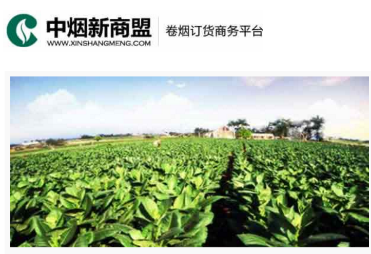 中烟新商盟卷烟订货商务平台-掌中彩APP
